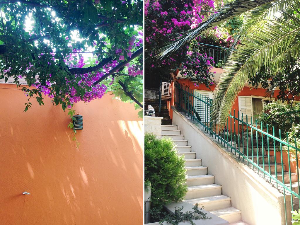Appartement Ambient Budva